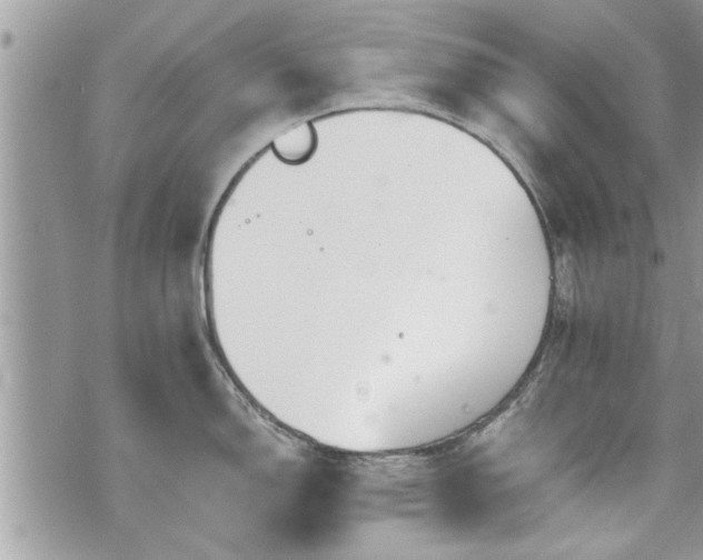 X0000070401150200606161339