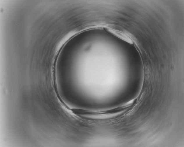 X0000070401151200606161339