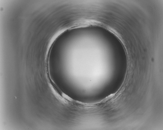 X0000070401152200606161339