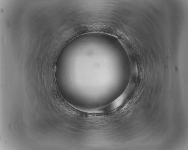 X0000070401153200606161338