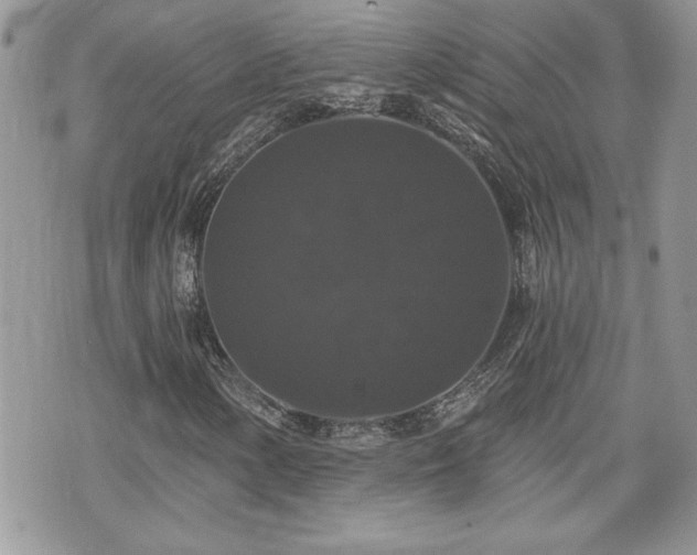 X0000070401154200606161338