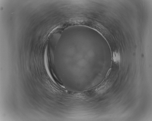 X0000070401155200606161338