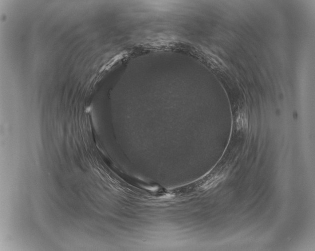 X0000070401156200606161338