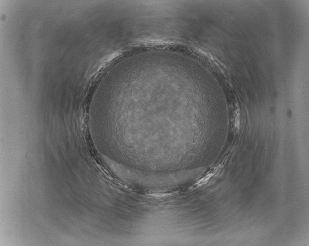 X0000070401157200606161338