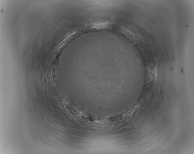 X0000070401158200606161338