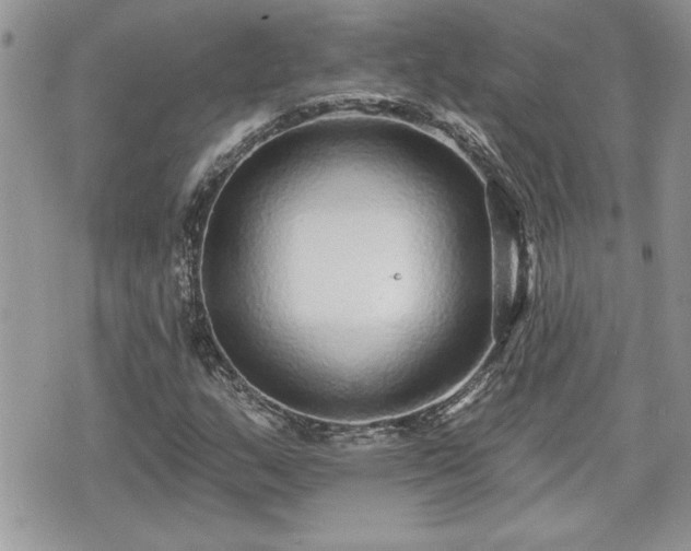 X0000070401159200606161338