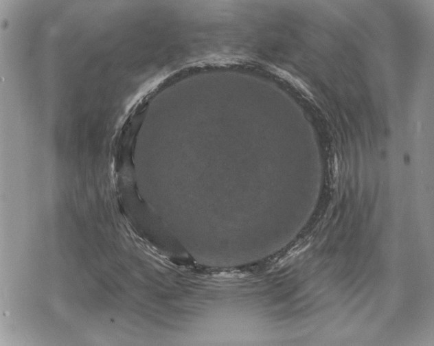 X0000070401160200606161338