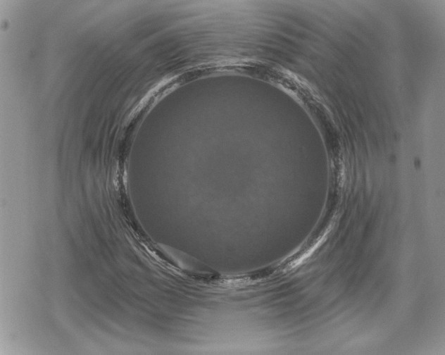 X0000070401161200606161338