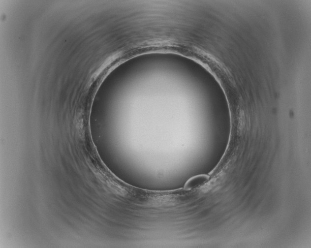 X0000070401162200606161338