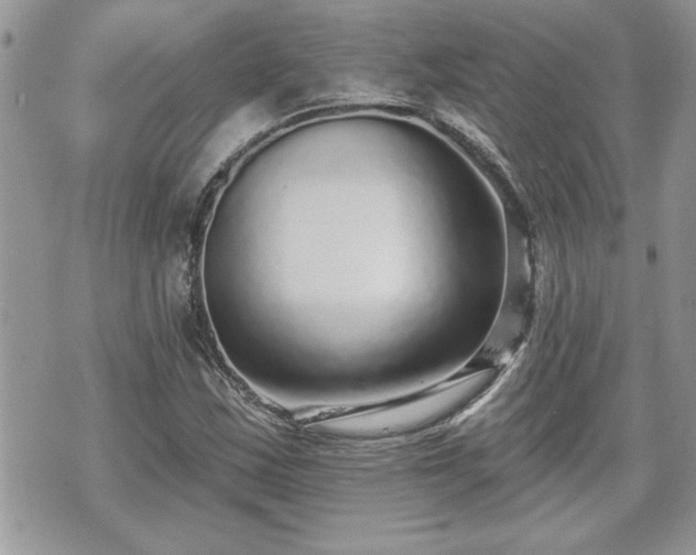 X0000070401163200606161338