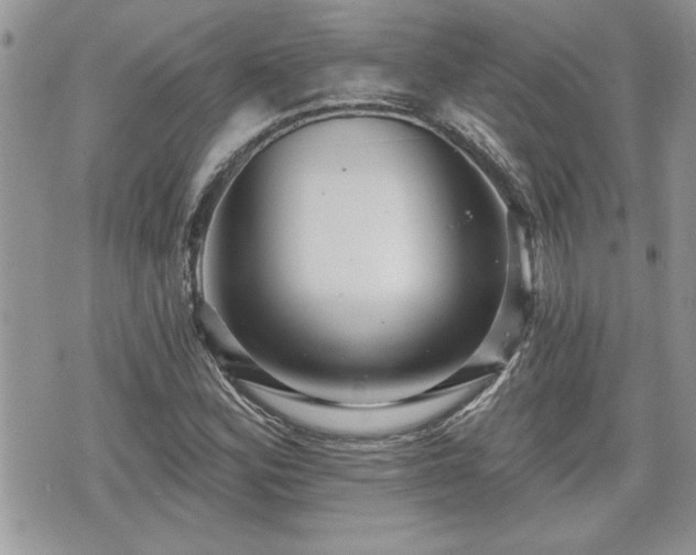 X0000070401164200606161338