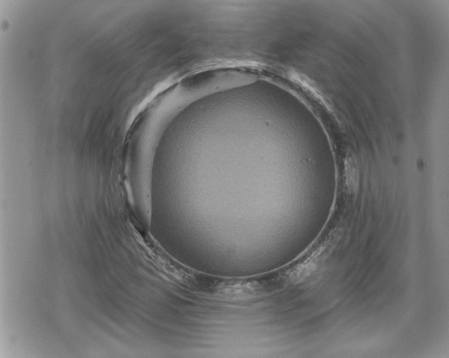 X0000070401165200606161338