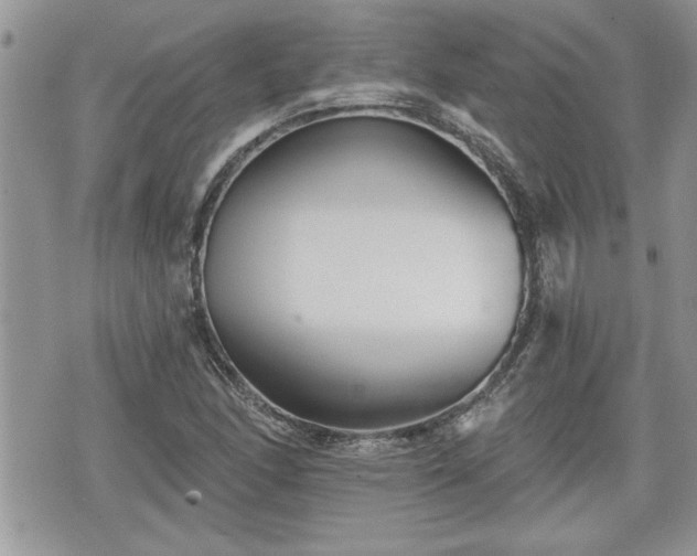 X0000070401166200606161338