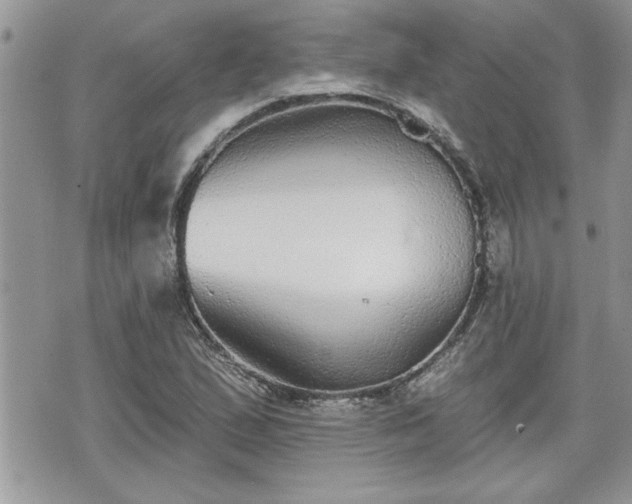 X0000070401167200606161338