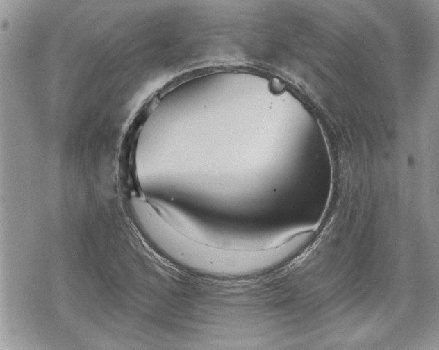 X0000070401168200606161338