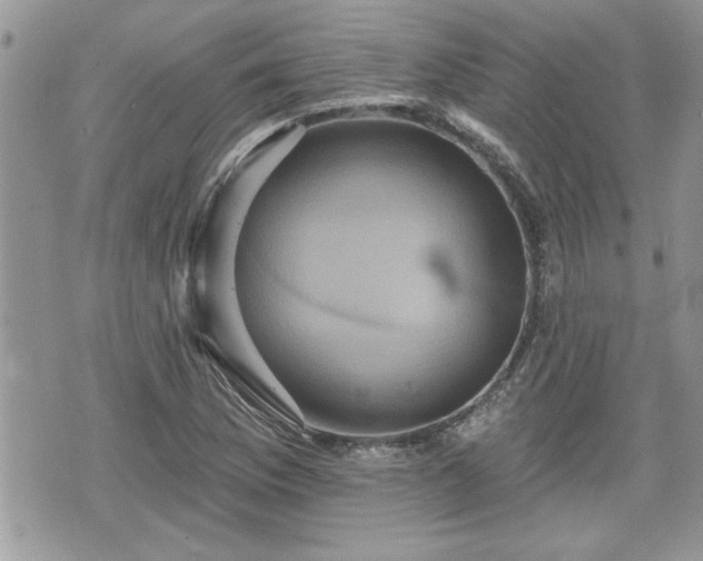 X0000070401169200606161338