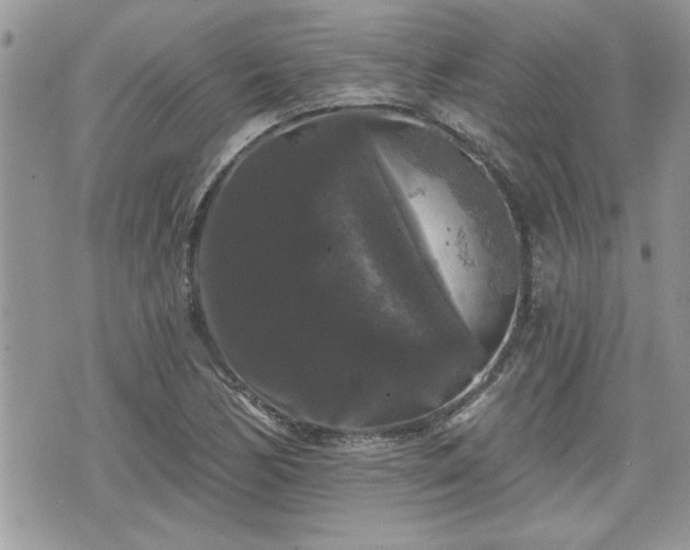 X0000070401170200606161338