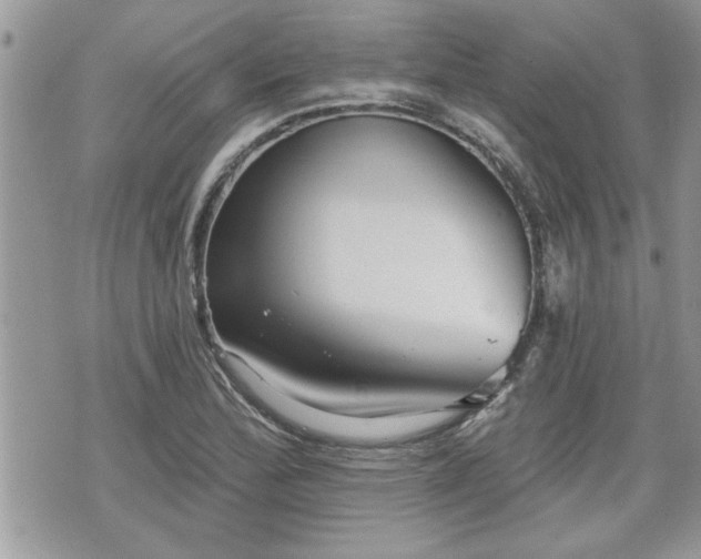 X0000070401172200606161338