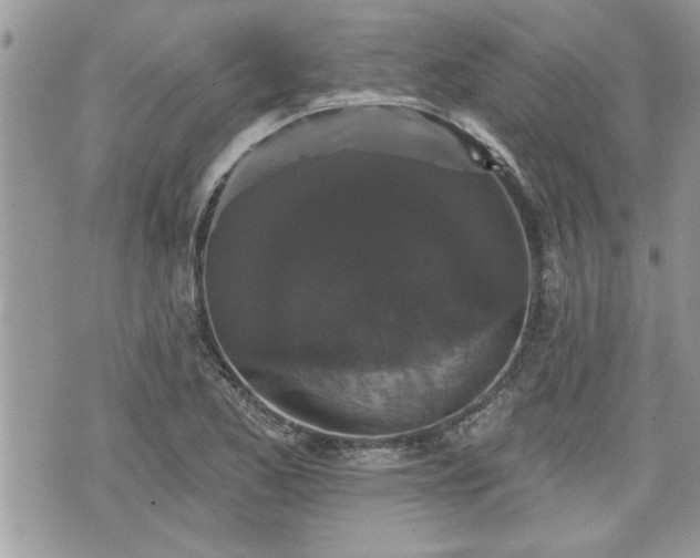 X0000070401173200606161338