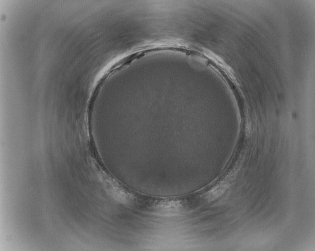 X0000070401174200606161338