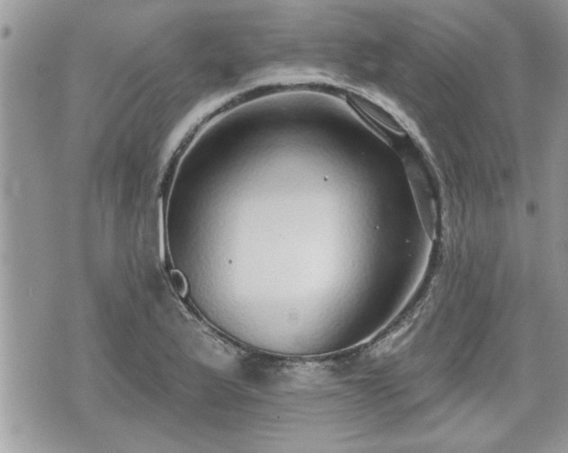 X0000070401175200606161338