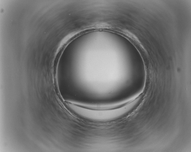 X0000070401176200606161338