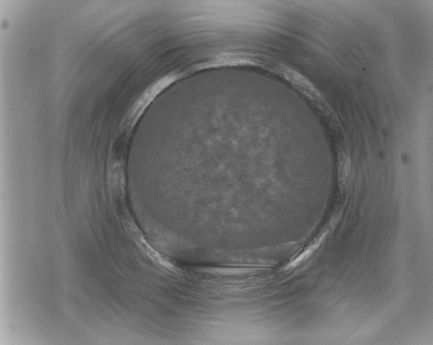 X0000070401177200606161338