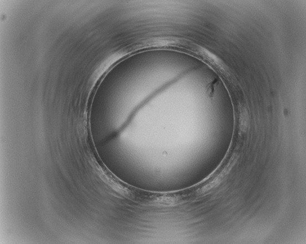 X0000070401178200606161338