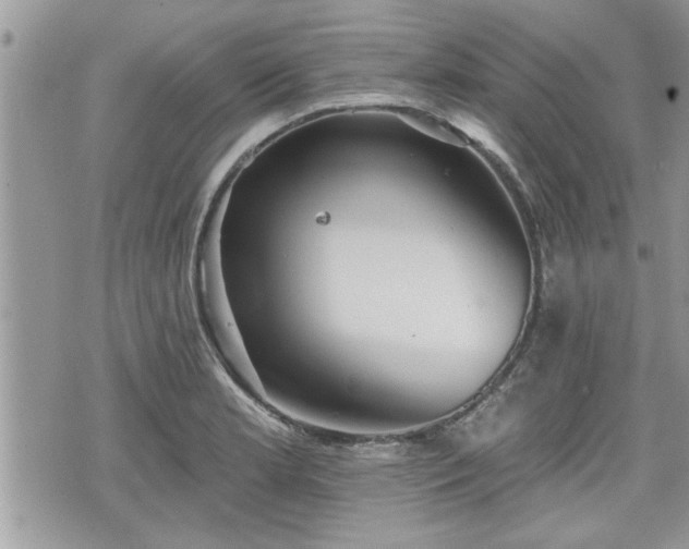 X0000070401181200606161338