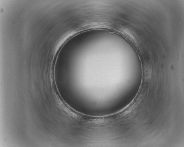 X0000070401182200606161338