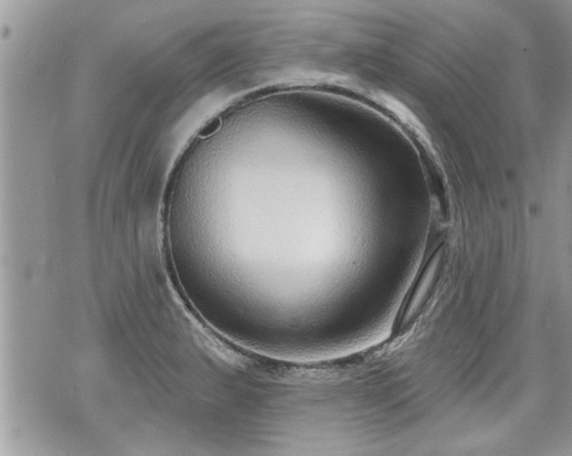 X0000070401183200606161338