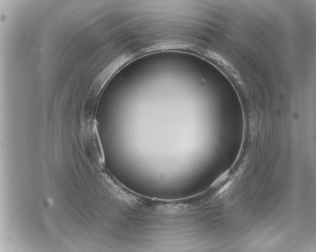 X0000070401185200606161338