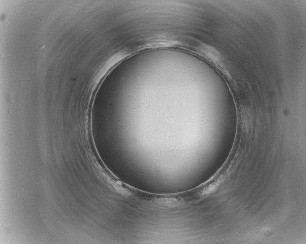 X0000070401186200606161338