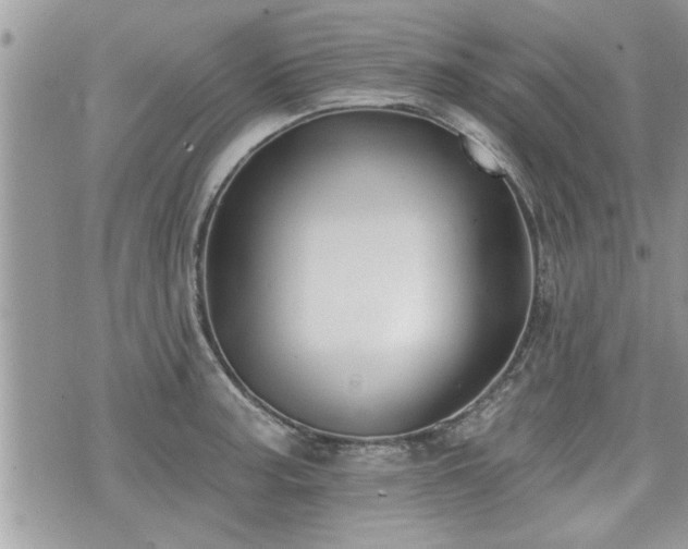 X0000070401187200606161337