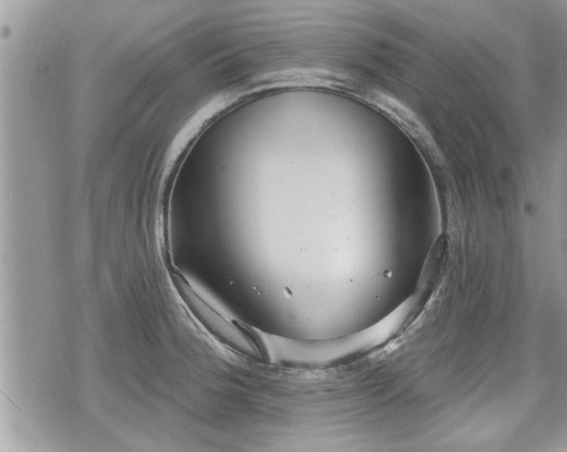 X0000070401188200606161337