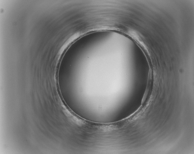 X0000070401189200606161337