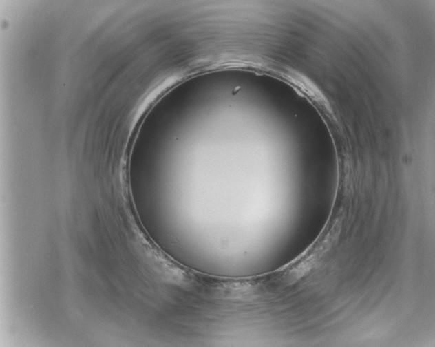 X0000070401190200606161337