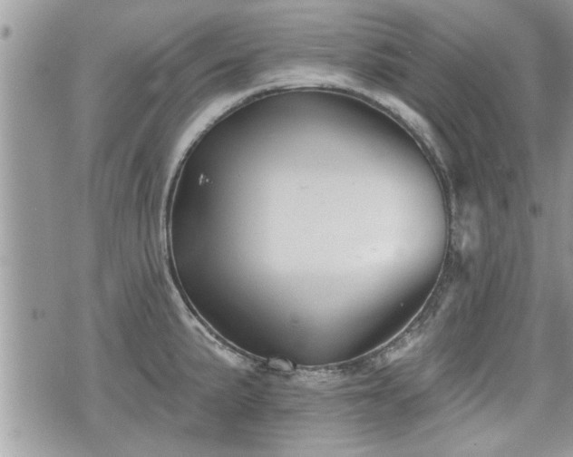 X0000070401191200606161337