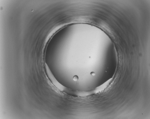 X0000070401192200606161337