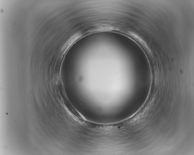 X0000070401193200606161337