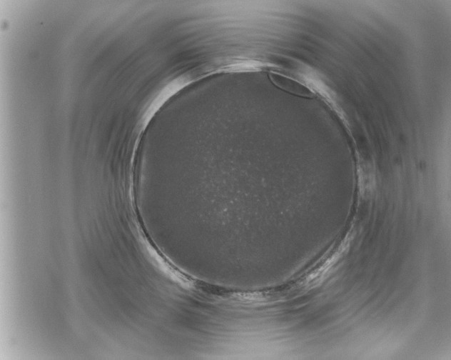 X0000070401194200606161337