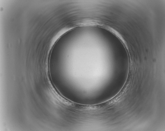 X0000070401195200606161337