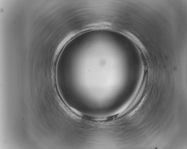 X0000070401196200606161337