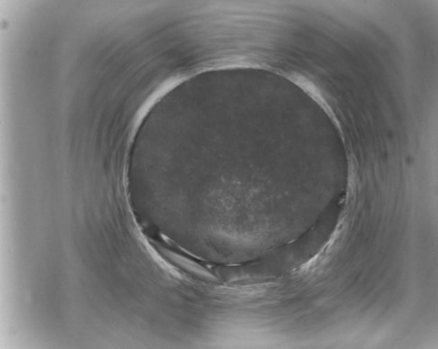 X0000070401197200606161337