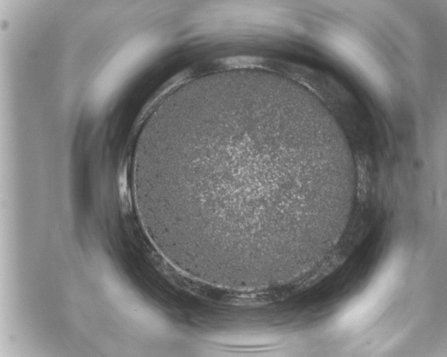 X0000070401198200606161337