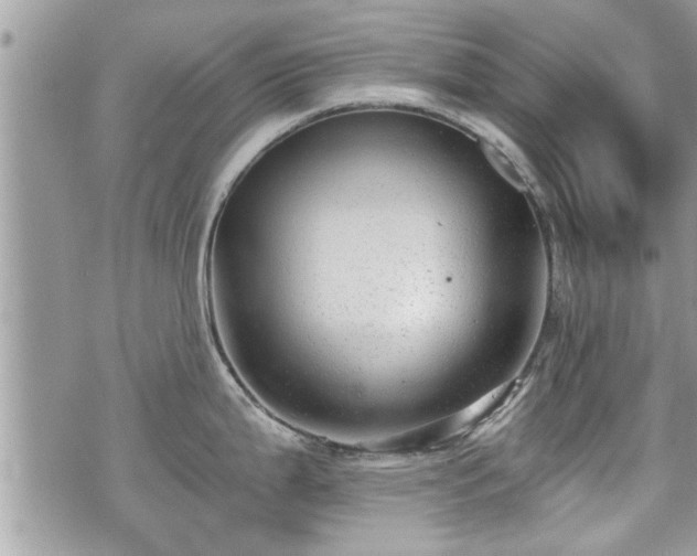 X0000070401199200606161337