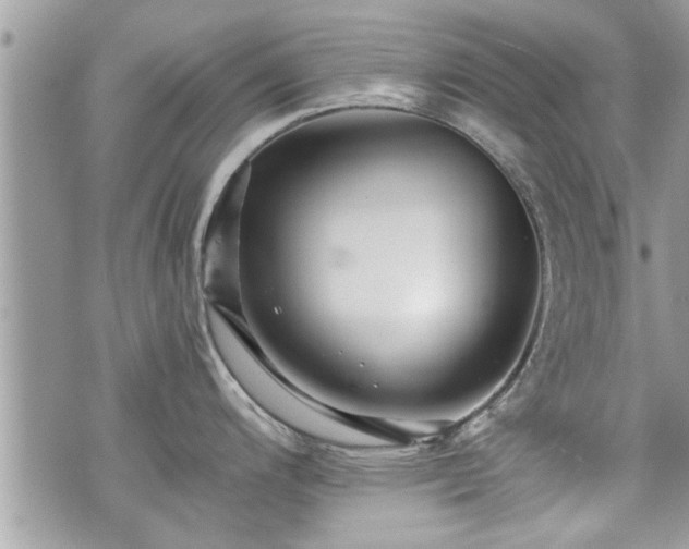 X0000070401200200606161337