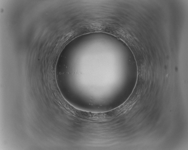 X0000070401201200606161337