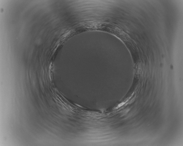 X0000070401202200606161337