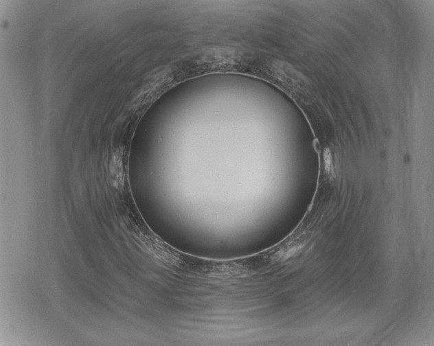 X0000070401203200606161337